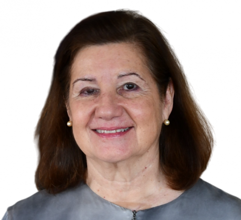 Ambassador Maria Luiza Ribeiro Viotti